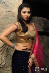 Priyanka at Adi Lekka Movie Audio Launch